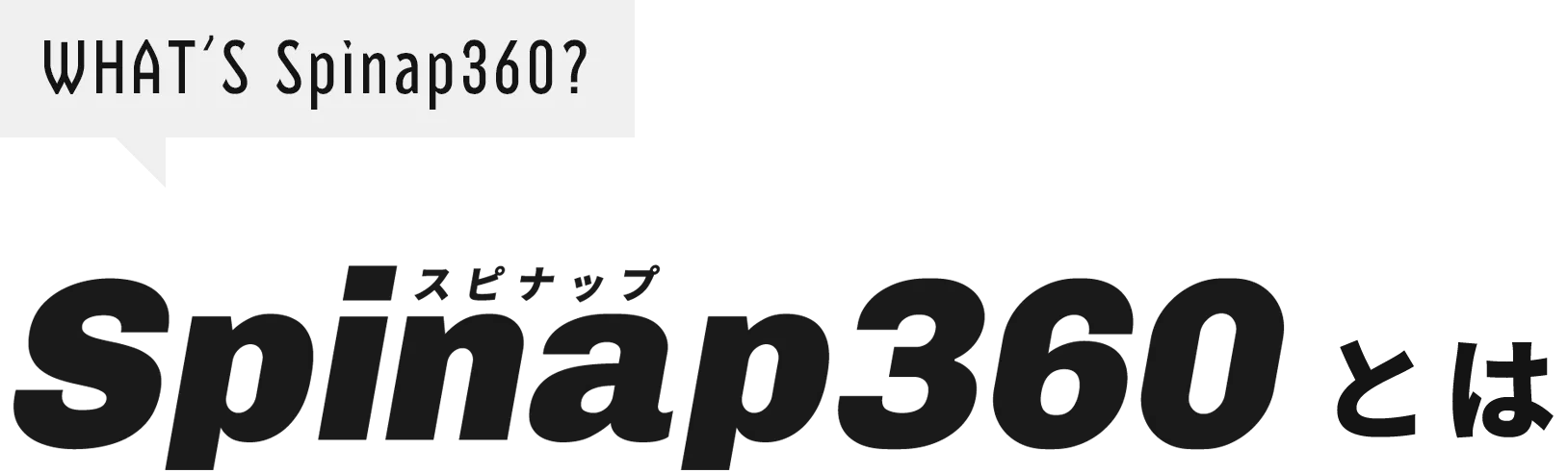Spinap(スピナップ)360とは